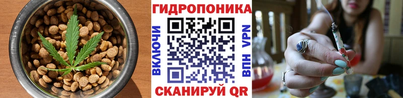 где купить   Сегежа  Canna-Cookies конопля 