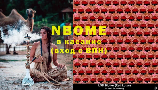 крисы Покровск