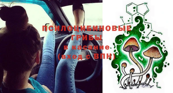 круглые Аркадак