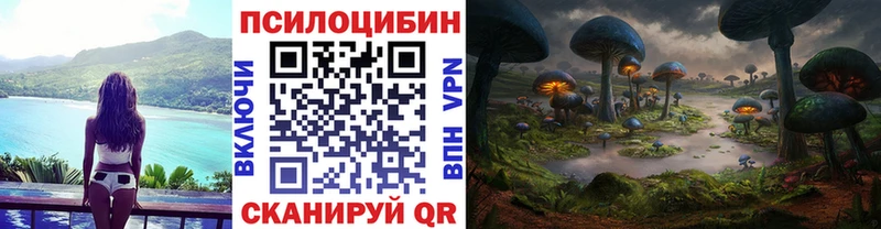 кракен ONION  Сегежа  Галлюциногенные грибы Cubensis 